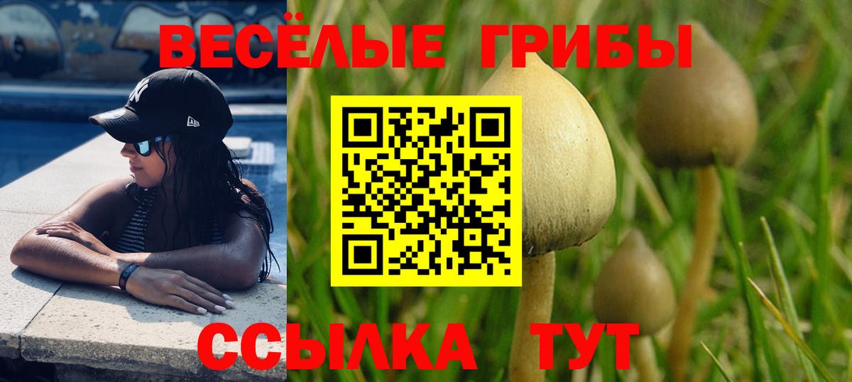 Псилоцибиновые грибы Magic Shrooms  Вход с VPN  Псилоцибиновые грибы Cubensis  Изобильный 